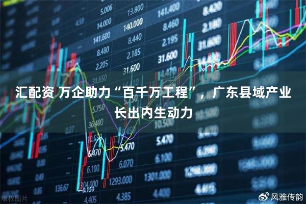 汇配资 万企助力“百千万工程”，广东县域产业长出内生动力