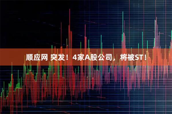 顺应网 突发！4家A股公司，将被ST！