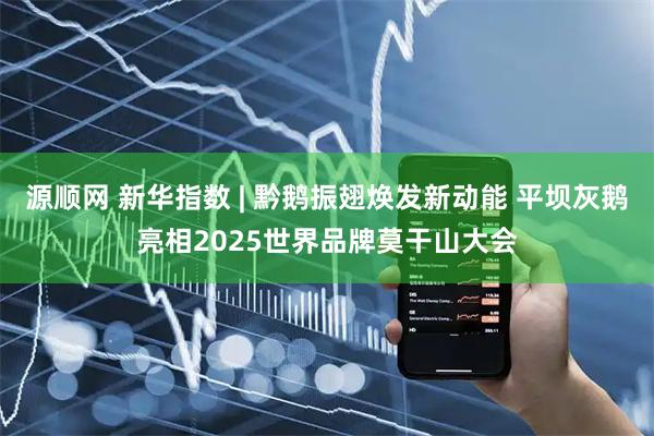 源顺网 新华指数 | 黔鹅振翅焕发新动能 平坝灰鹅亮相2025世界品牌莫干山大会