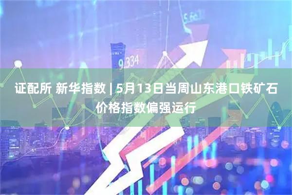 证配所 新华指数 | 5月13日当周山东港口铁矿石价格指数偏强运行