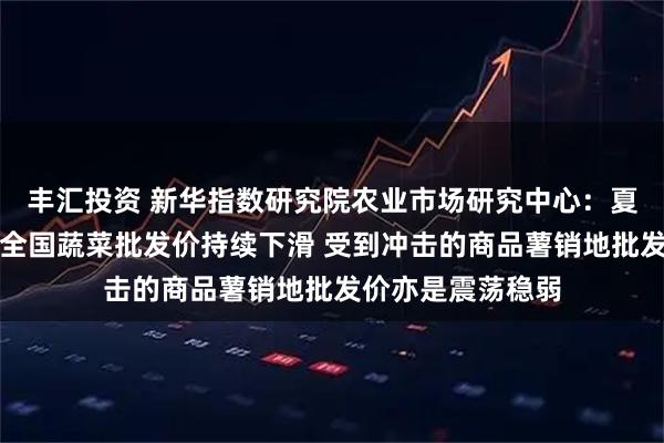 丰汇投资 新华指数研究院农业市场研究中心：夏菜供应充足导致全国蔬菜批发价持续下滑 受到冲击的商品薯销地批发价亦是震荡稳弱