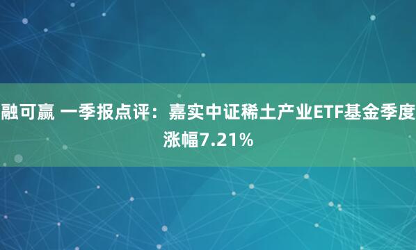 融可赢 一季报点评：嘉实中证稀土产业ETF基金季度涨幅7.21%