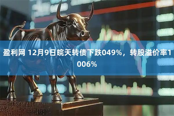 盈利网 12月9日皖天转债下跌049%，转股溢价率1006%