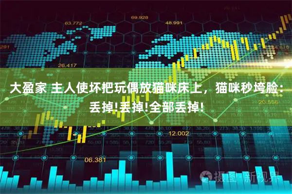 大盈家 主人使坏把玩偶放猫咪床上，猫咪秒垮脸：丢掉!丢掉!全部丢掉!